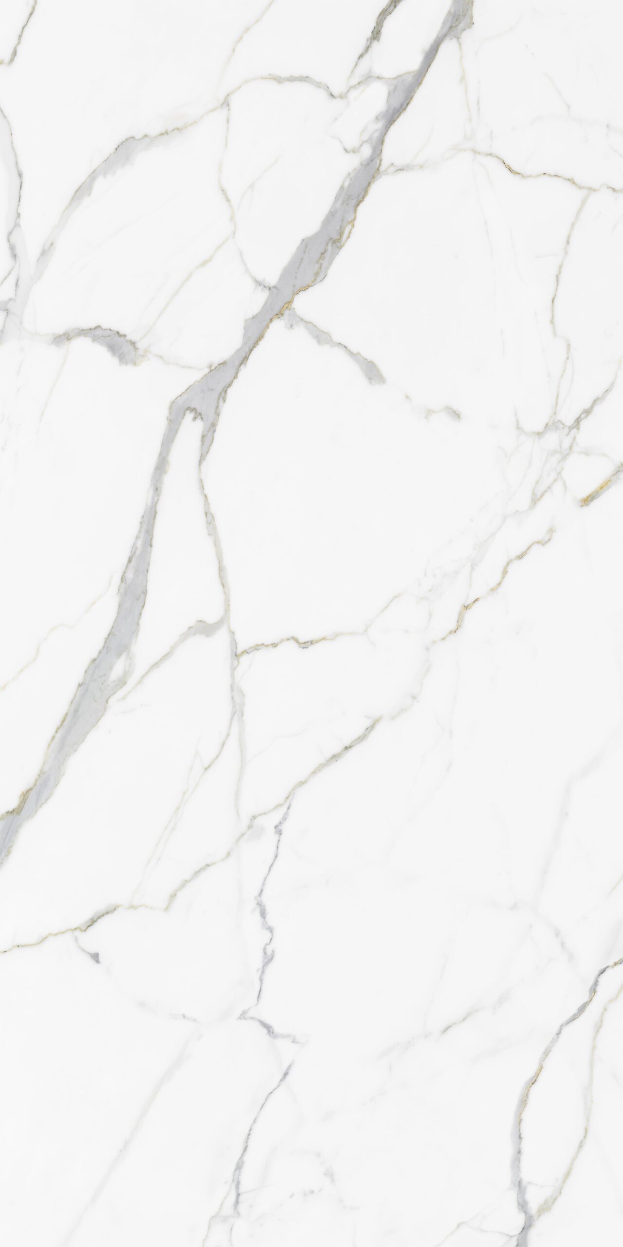 Calacatta Module B