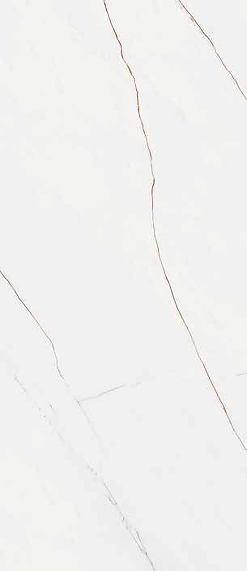 Calacatta Caldia 120×280 xxl-slabs-tiles